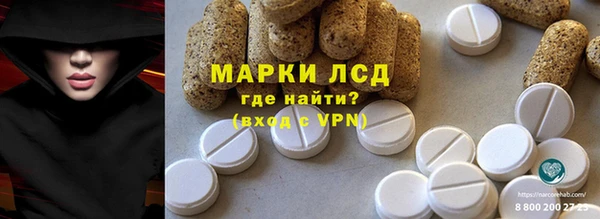 амф Новозыбков