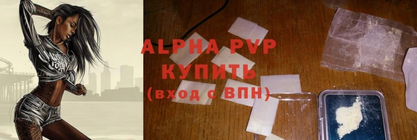 амф Новозыбков