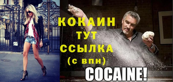 амф Новозыбков