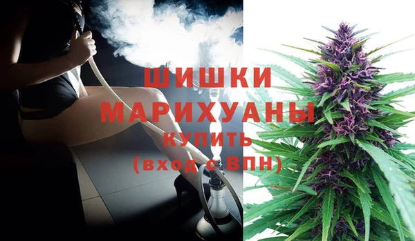 метадон Новодвинск
