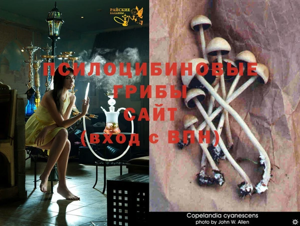 метадон Новодвинск