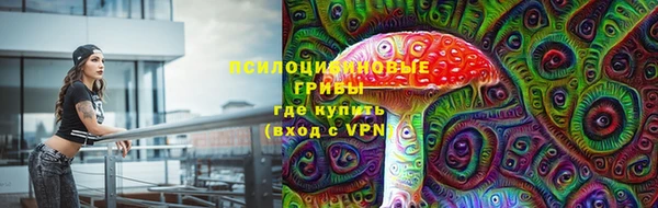 амф Новозыбков