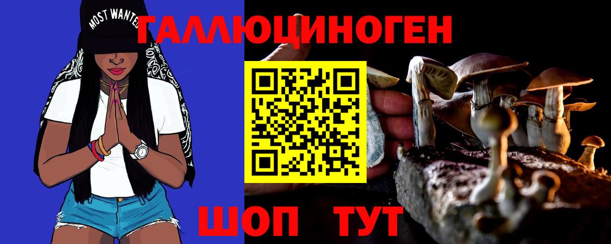 Мегион  Псилоцибиновые грибы Psilocybine cubensis  цена   Вход с VPN 